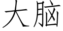 大脑 (仿宋矢量字库)