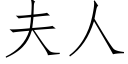 夫人 (仿宋矢量字庫)