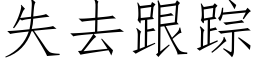 失去跟蹤 (仿宋矢量字庫)