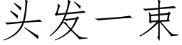 头发一束 (仿宋矢量字库)