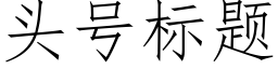 頭号标題 (仿宋矢量字庫)