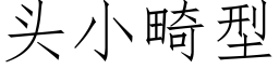 頭小畸型 (仿宋矢量字庫)