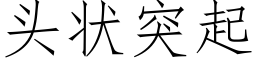 头状突起 (仿宋矢量字库)