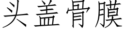 頭蓋骨膜 (仿宋矢量字庫)