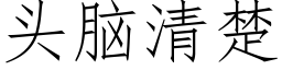 頭腦清楚 (仿宋矢量字庫)