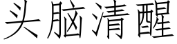 頭腦清醒 (仿宋矢量字庫)