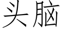 頭腦 (仿宋矢量字庫)