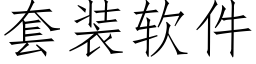 套装软件 (仿宋矢量字库)