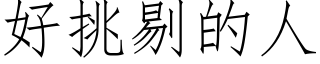 好挑剔的人 (仿宋矢量字庫)