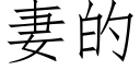 妻的 (仿宋矢量字庫)