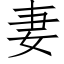 妻 (仿宋矢量字库)