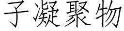 子凝聚物 (仿宋矢量字庫)