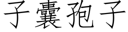 子囊孢子 (仿宋矢量字庫)