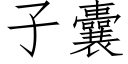 子囊 (仿宋矢量字庫)