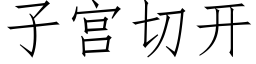 子宫切开 (仿宋矢量字库)