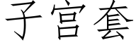 子宫套 (仿宋矢量字库)