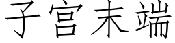 子宫末端 (仿宋矢量字库)