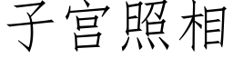 子宫照相 (仿宋矢量字库)