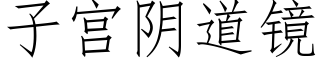 子宫阴道镜 (仿宋矢量字库)