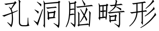 孔洞脑畸形 (仿宋矢量字库)