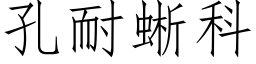 孔耐蜥科 (仿宋矢量字库)