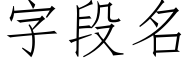 字段名 (仿宋矢量字库)