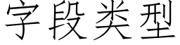 字段類型 (仿宋矢量字庫)