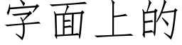 字面上的 (仿宋矢量字庫)