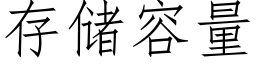 存儲容量 (仿宋矢量字庫)