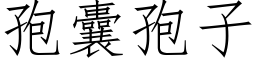 孢囊孢子 (仿宋矢量字庫)