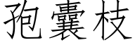 孢囊枝 (仿宋矢量字庫)