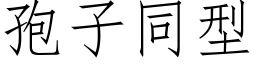 孢子同型 (仿宋矢量字库)