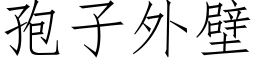 孢子外壁 (仿宋矢量字库)