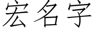 宏名字 (仿宋矢量字库)