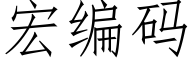 宏编码 (仿宋矢量字库)