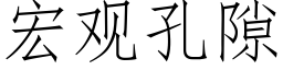 宏觀孔隙 (仿宋矢量字庫)