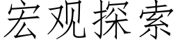 宏观探索 (仿宋矢量字库)