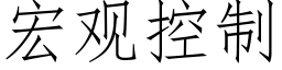 宏观控制 (仿宋矢量字库)