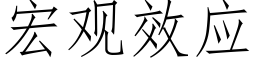 宏觀效應 (仿宋矢量字庫)