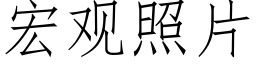 宏观照片 (仿宋矢量字库)