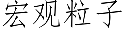 宏觀粒子 (仿宋矢量字庫)