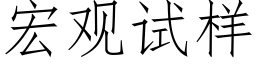 宏观试样 (仿宋矢量字库)