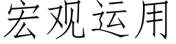 宏觀運用 (仿宋矢量字庫)