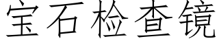 宝石检查镜 (仿宋矢量字库)