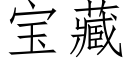 宝藏 (仿宋矢量字库)