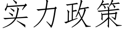 实力政策 (仿宋矢量字库)