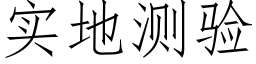 实地测验 (仿宋矢量字库)