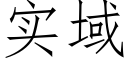 實域 (仿宋矢量字庫)