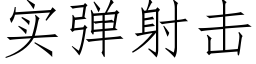 实弹射击 (仿宋矢量字库)