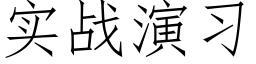 实战演习 (仿宋矢量字库)